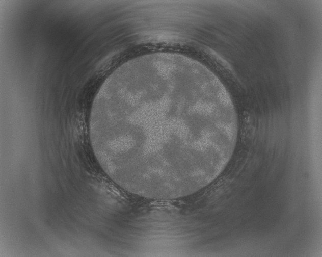 X0000082990918200702160019