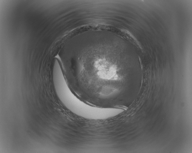 X0000082990919200702160019