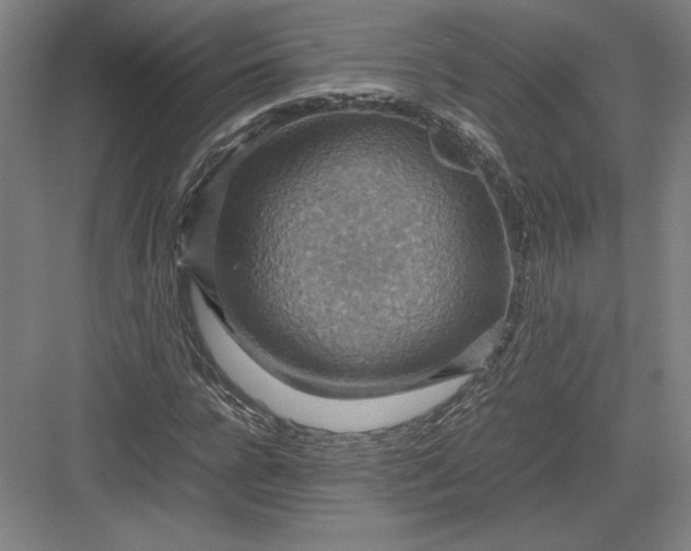 X0000082990920200702160019