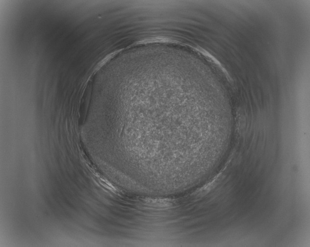 X0000082990921200702160019