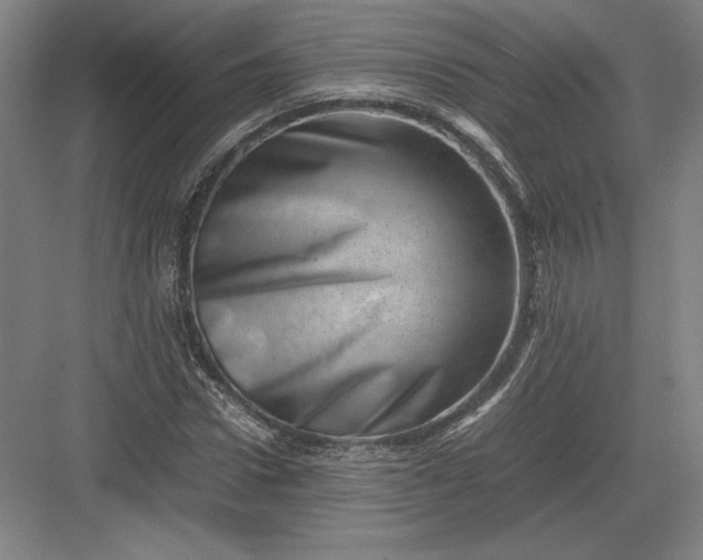 X0000082990922200702160019