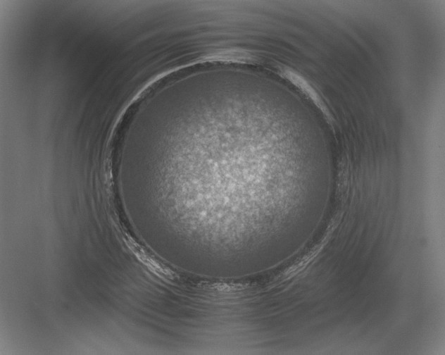 X0000082990923200702160020