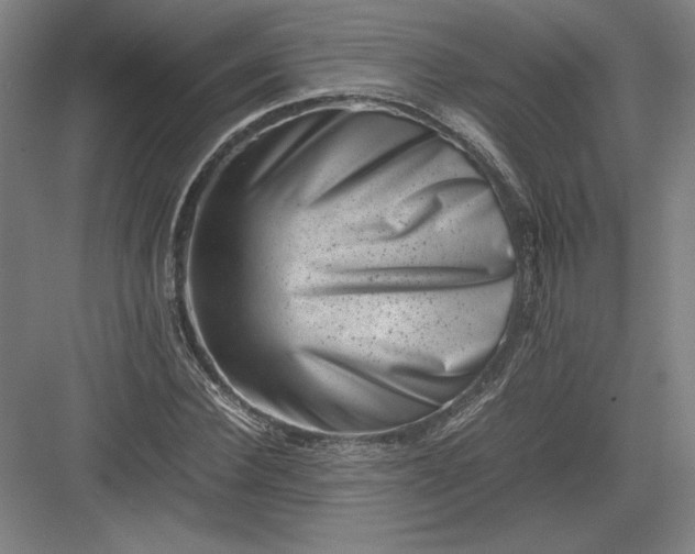 X0000082990924200702160020