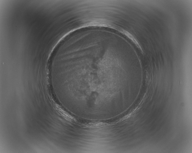 X0000082990926200702160020