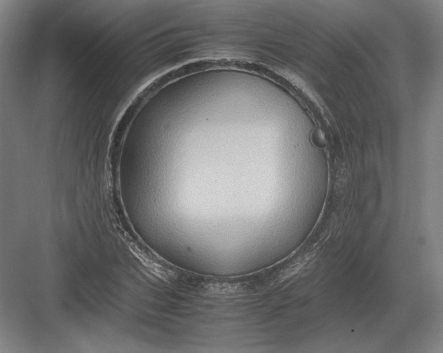 X0000082990927200702160020