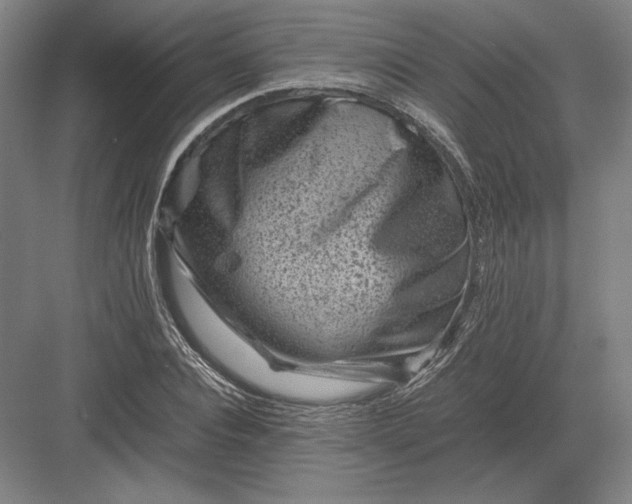 X0000082990928200702160020