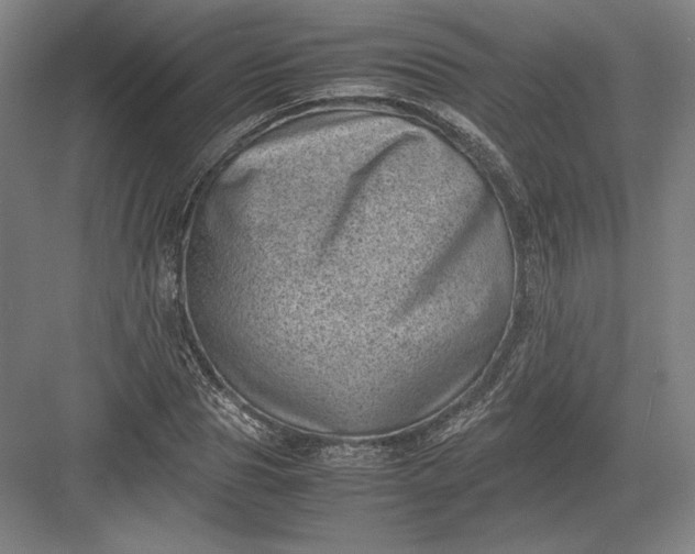 X0000082990929200702160020