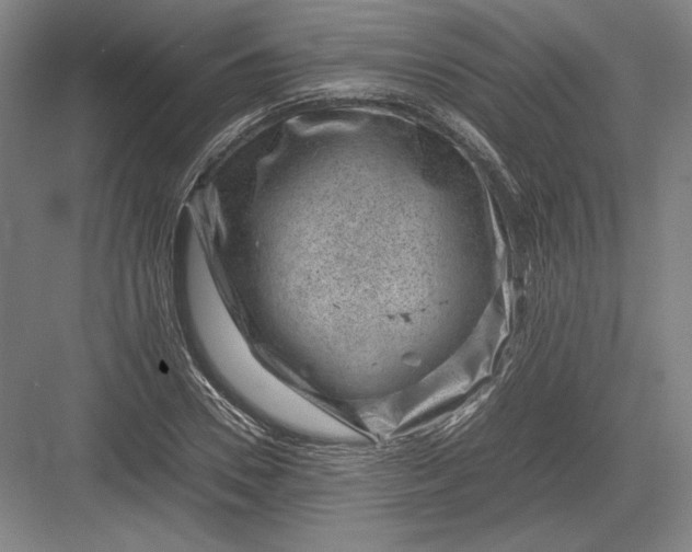 X0000082990930200702160020