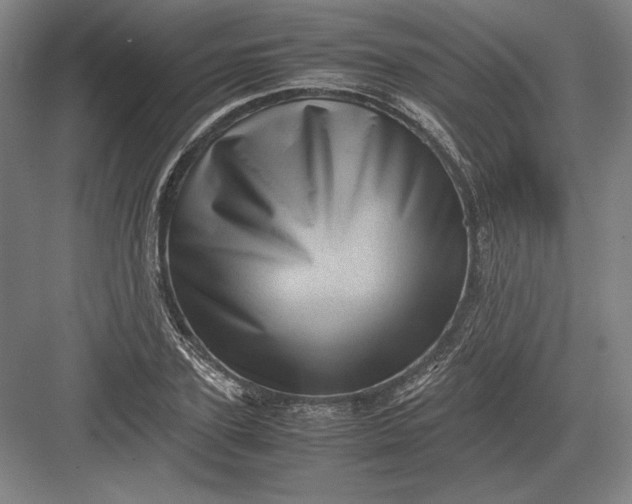 X0000082990931200702160020