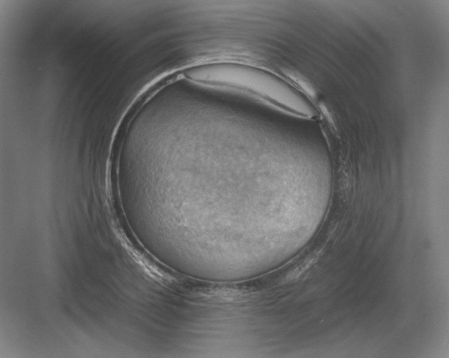 X0000082990932200702160020