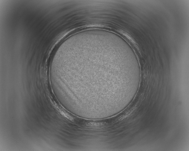 X0000082990933200702160020