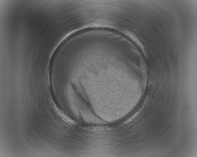 X0000082990934200702160020