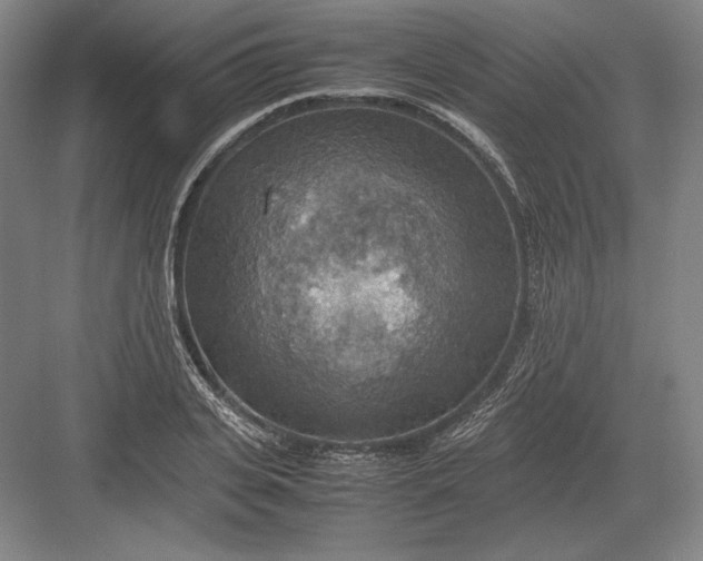 X0000082990935200702160020