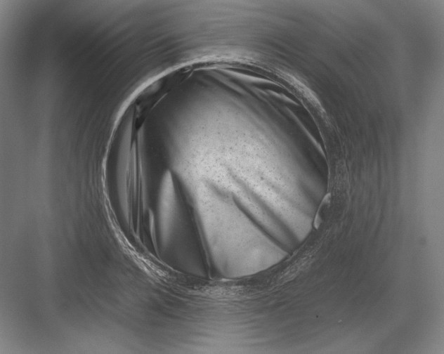 X0000082990936200702160020