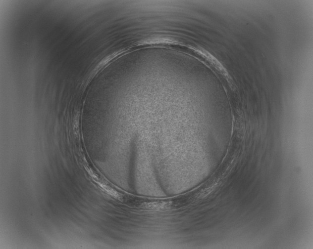 X0000082990937200702160020