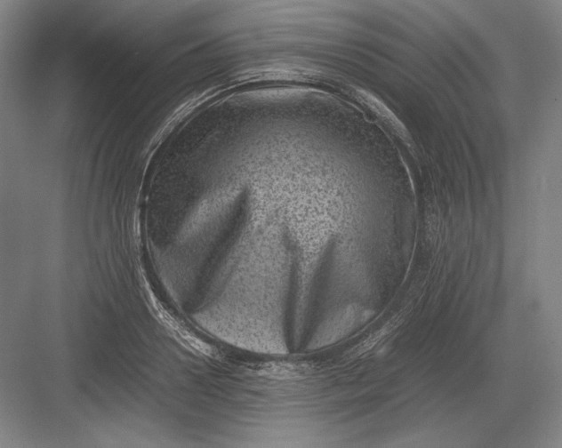 X0000082990938200702160020