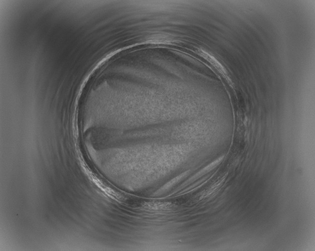 X0000082990939200702160020