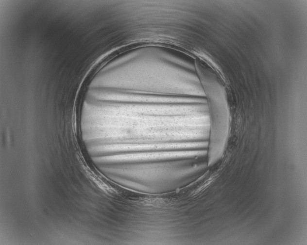 X0000082990940200702160020