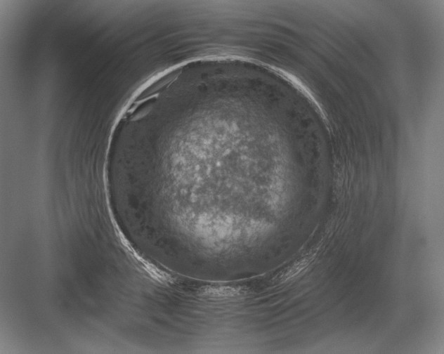 X0000082990943200702160020