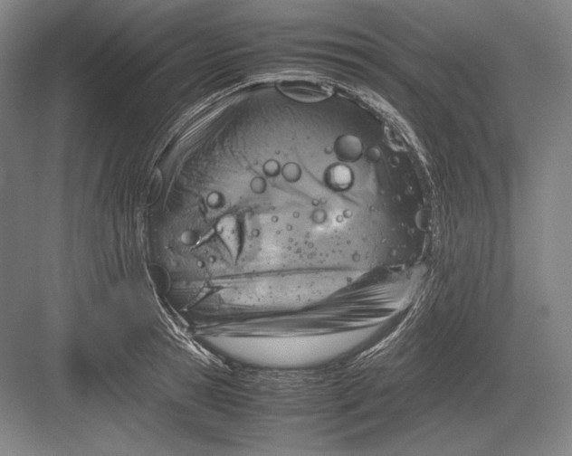 X0000082990945200702160020