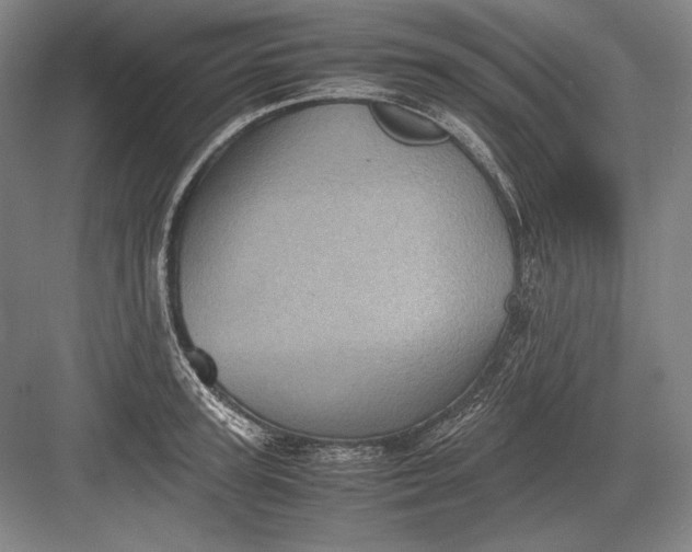 X0000082990947200702160020