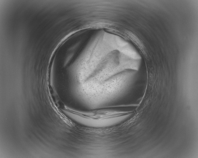 X0000082990948200702160020