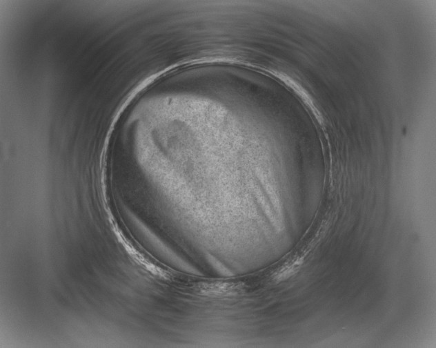 X0000082990949200702160020