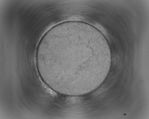 X0000082990950200702160020