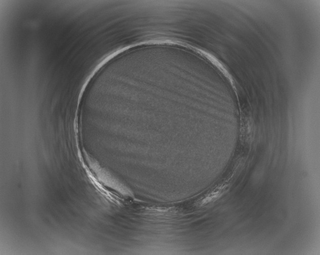 X0000082990951200702160020