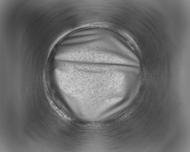 X0000082990952200702160020