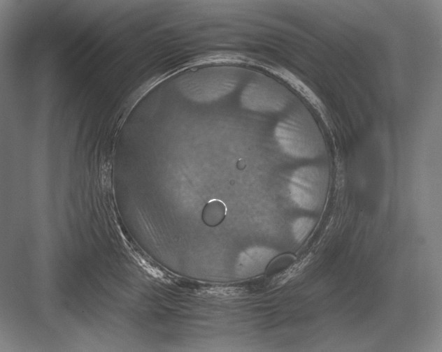 X0000082990953200702160020