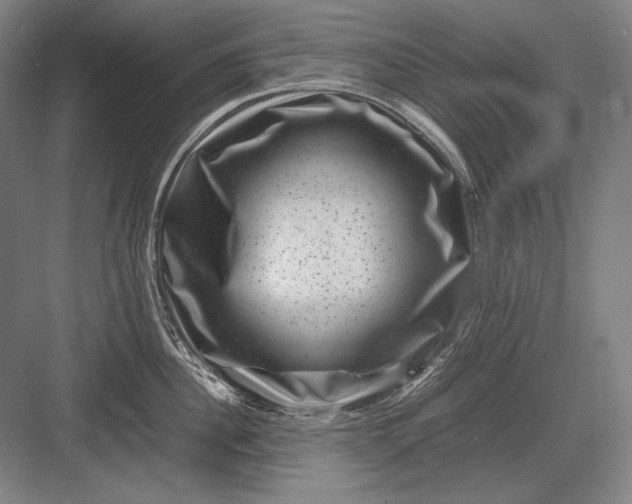 X0000082990956200702160020