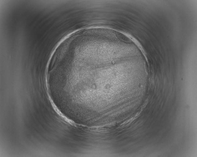 X0000082990957200702160020