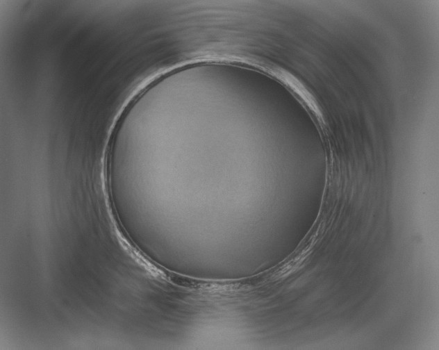 X0000082990958200702160020