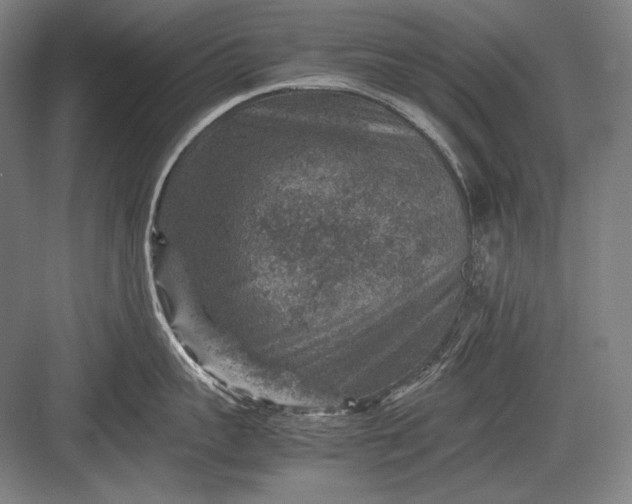 X0000082990959200702160020