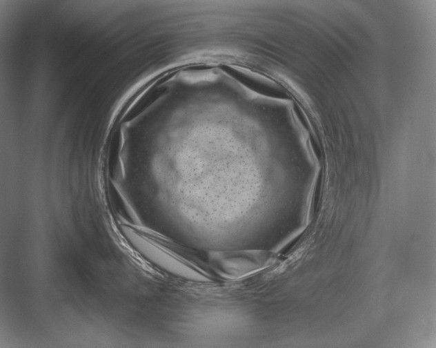 X0000082990960200702160020