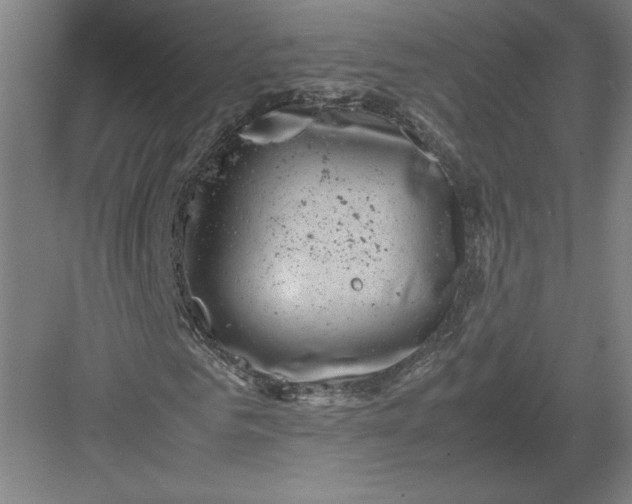 X0000082990961200702160019