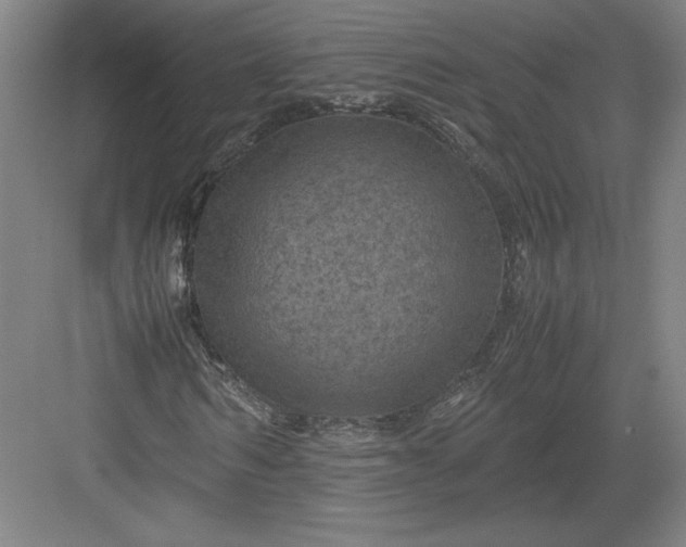 X0000082990962200702160019