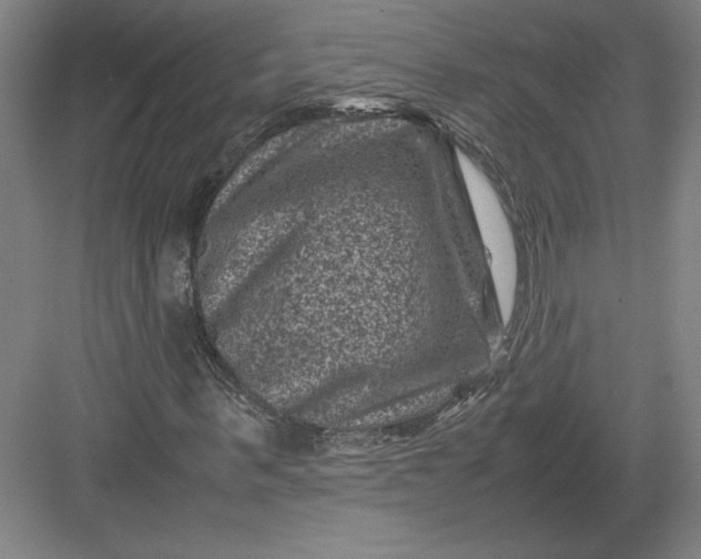 X0000082990963200702160019