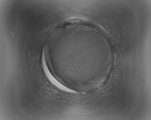 X0000082990965200702160019