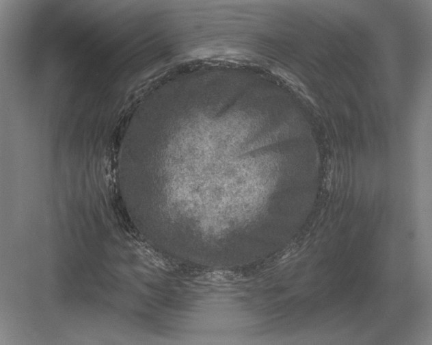 X0000082990966200702160019