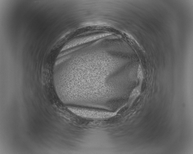 X0000082990967200702160019