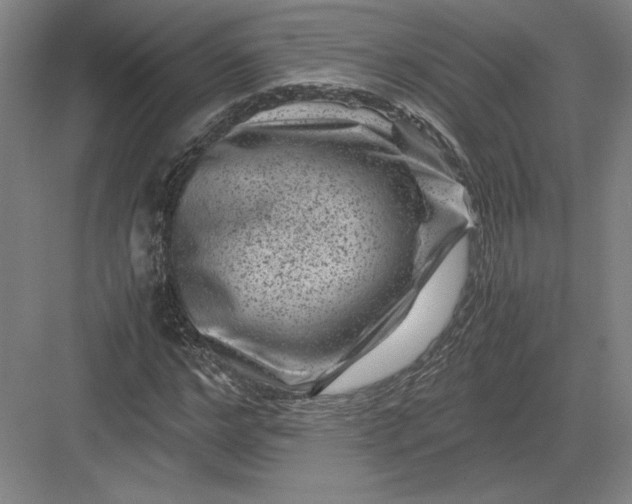 X0000082990968200702160019