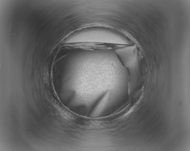 X0000082990969200702160019