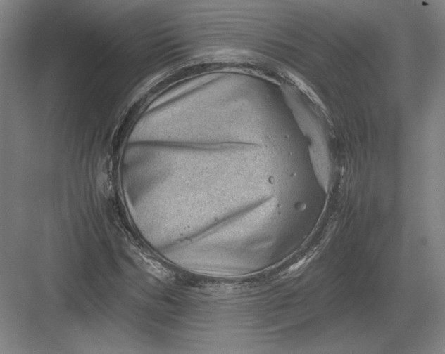 X0000082990970200702160019