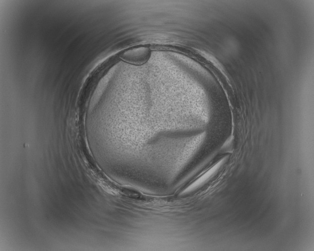 X0000082990971200702160019