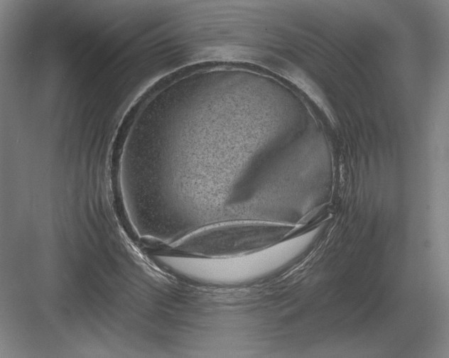 X0000082990972200702160019