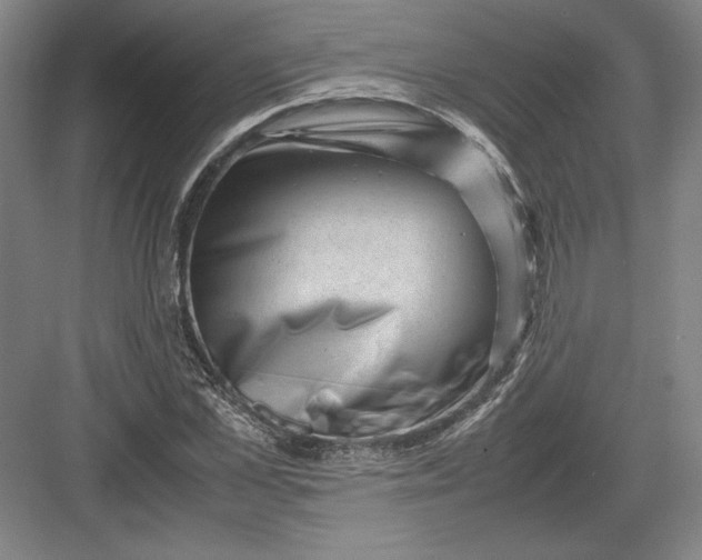 X0000082990973200702160019