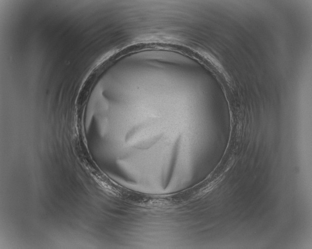 X0000082990974200702160019