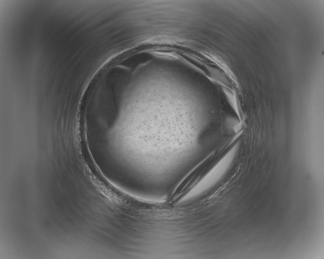 X0000082990976200702160019